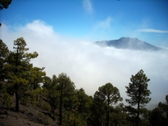 Pico Bejenado,La Palma -opis szlaku http://wp.me/p5IYcn-3h